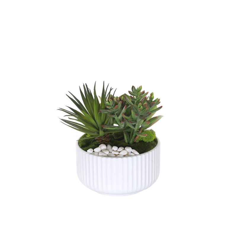 Faux Succulent, White