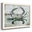 Neutre crabe I, reproduction d'art sur toile-211041755-211041750