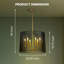 Linara Collection Six-Light Chandelier – Elegant Transitional Design in Black Finish