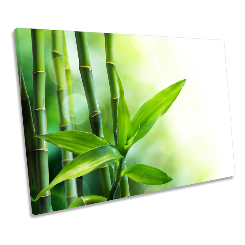 Bamboo Floral - Wrapped Canvas Print, 30.5cm H x 45.7cm W x 2cm D