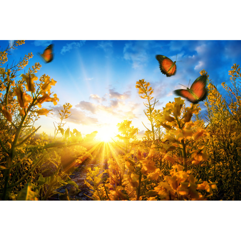Cimah, coucher de soleil et papillons sur toile par Smileus, photographie, H 8 po x l 12 po x P 1,25 po