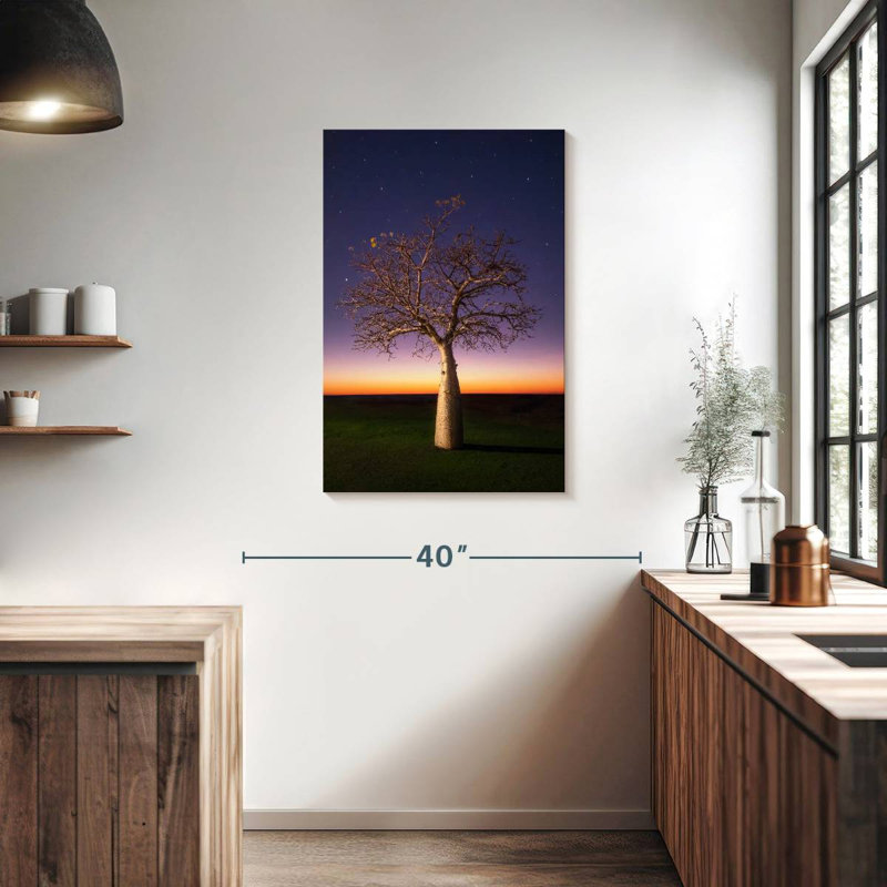 Ciel étoilé boab, H 36 po x l 24 po