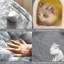 Niche pour chien chaude et pliable