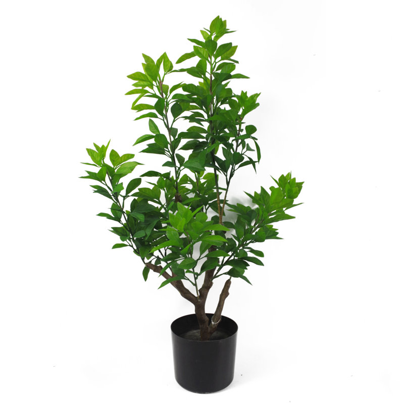 Anlin 80cm Faux Ficus Tree in Pot, Green