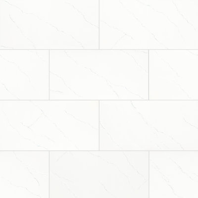 Belvia 24 in. x 48 in Polished Porcelain Stone Look Floor and Wall Tile