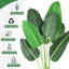 Plant-1598778490-1598778484