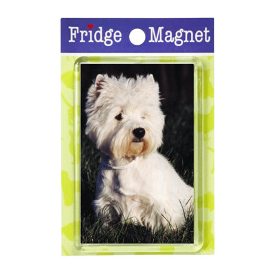 Fridge Magnet
