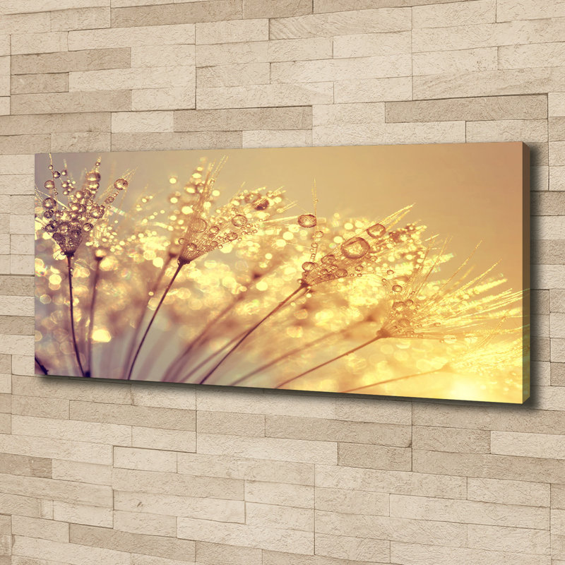 Dandelion Canvas Seeds - Wrapped Canvas Print