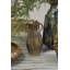 Tessanne Frey Vase