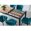 Disalvo Extendable Dining Table