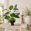 Arrangement