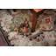 Hand Knotted Wool Oriental Area Rug