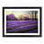 Black Framed selected