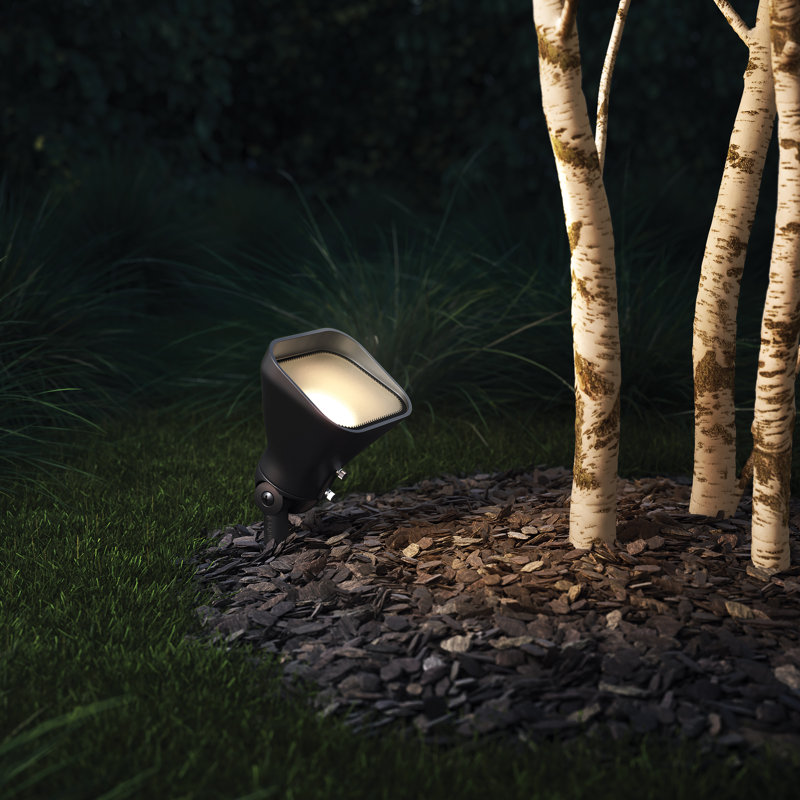 Hinkley Landscape Accent Flood Light 12V, 2700 Kelvin, Dark Brown