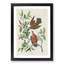 Lenaida Doves by John James Audubon - Picture Frame Painting Print-55582779-55582780
