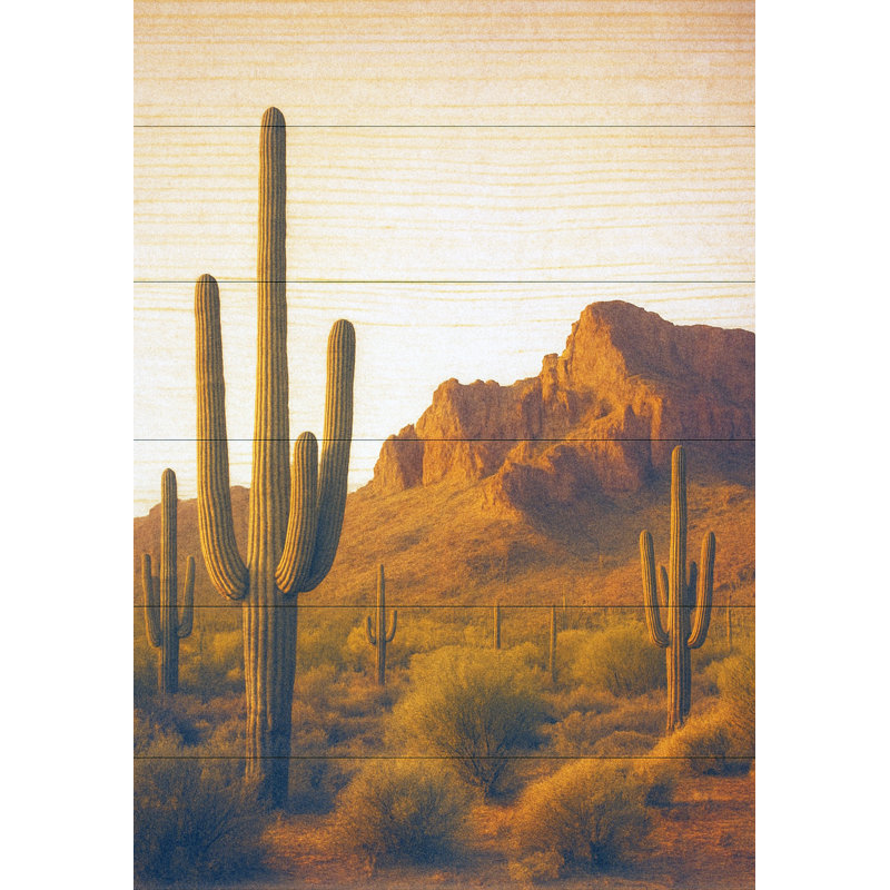 Cactus désertique sur toile de bois rustique, H 24 po x l 16 po