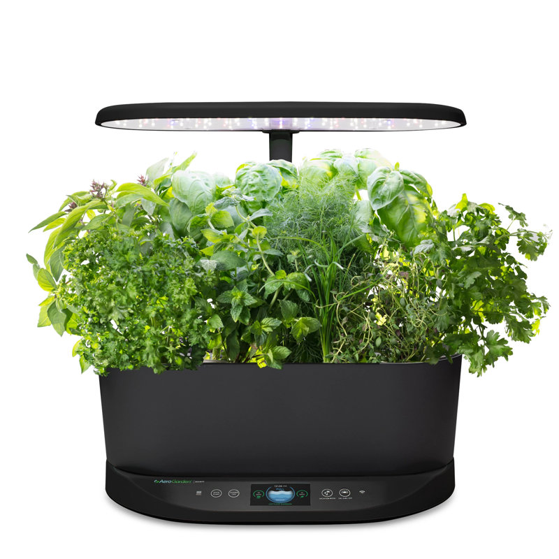Noir AeroGarden Bounty