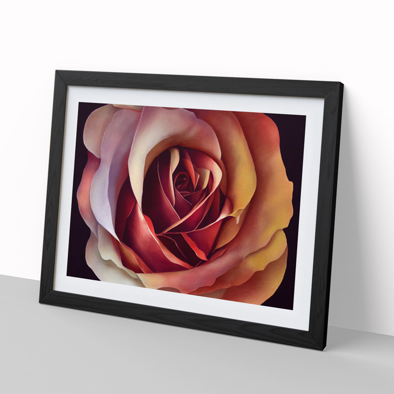 Appealing Rose Flower - Single Picture Frame Print, 46cm H x 64cm W x 2cm D, Black Framed