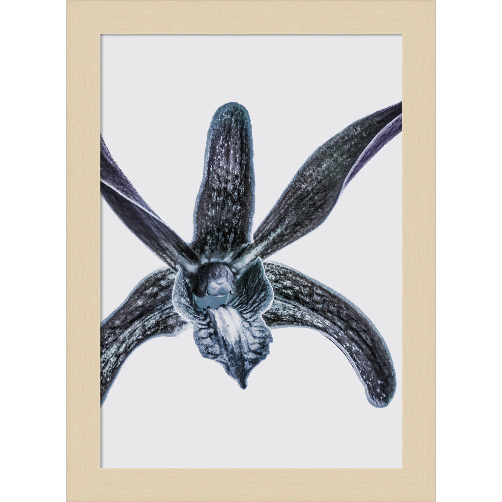 Parkerfield "Orchid" Print by Shot by Clint, Brown, 13" H x 10" W