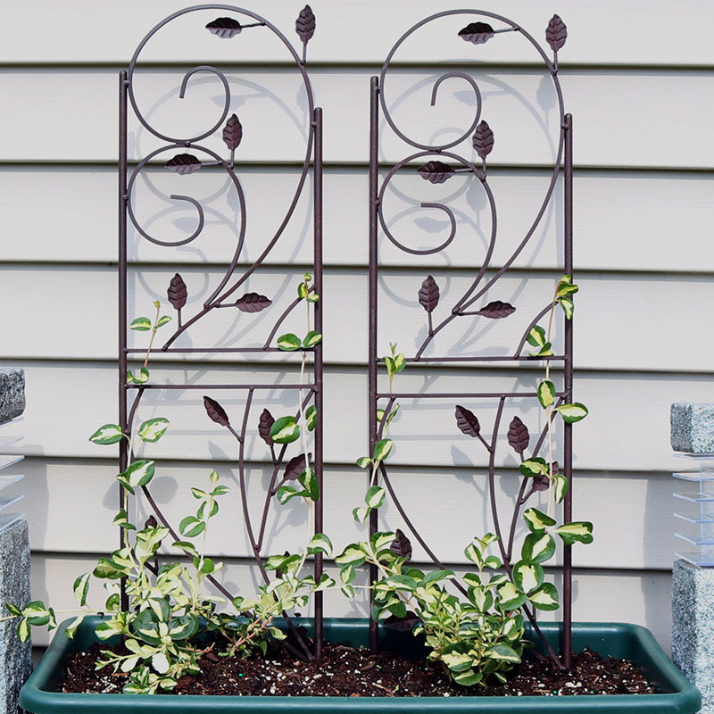 Rustic Brown Metal Garden Trellis Set for Climbing Plants