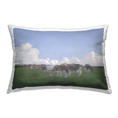 Coussin Grazing