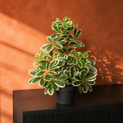 55cm Faux Plant in Pot Liner