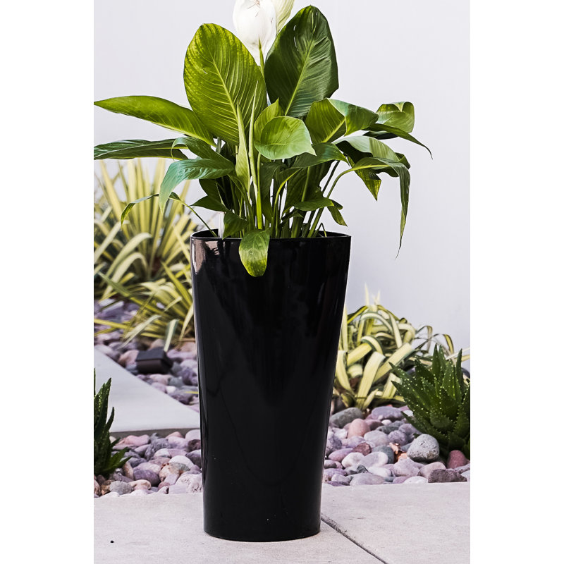 Self Watering Plastic Pot Planter, Black