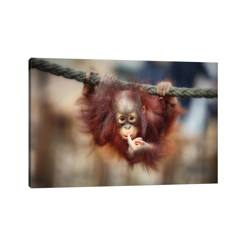 The Big Query by Antje Wenner-Braun - Wrapped Canvas Print, 101.6 cm H x 66.04 cm W x 3.175 cm D