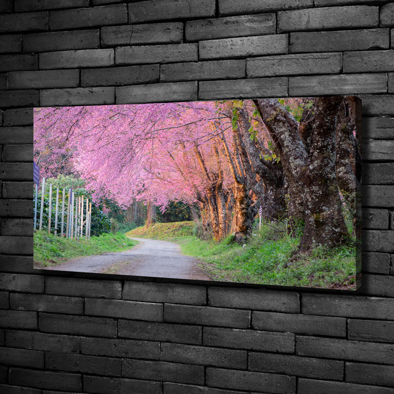Cherry Blossoms - Wrapped Canvas Print