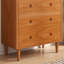 Élégante armoire de rangement en rotin