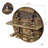 Rustic Burnt Solid Wood Wall Mounted Baseball Bat and Ball Display Rack – Sports Memorabilia Hanger for 3 Bats and 3 Balls