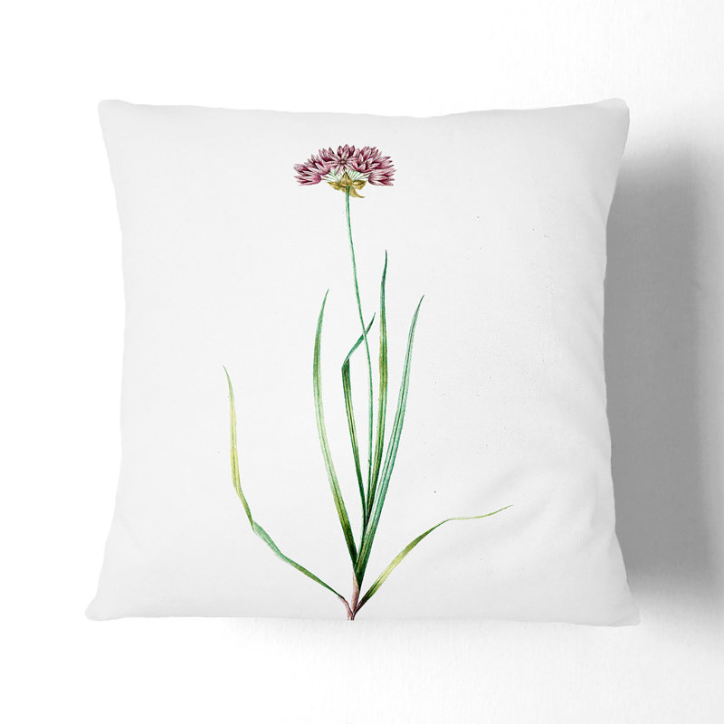 Square Throw Cushion, Black, 55cm H x 55cm W x 20cm D