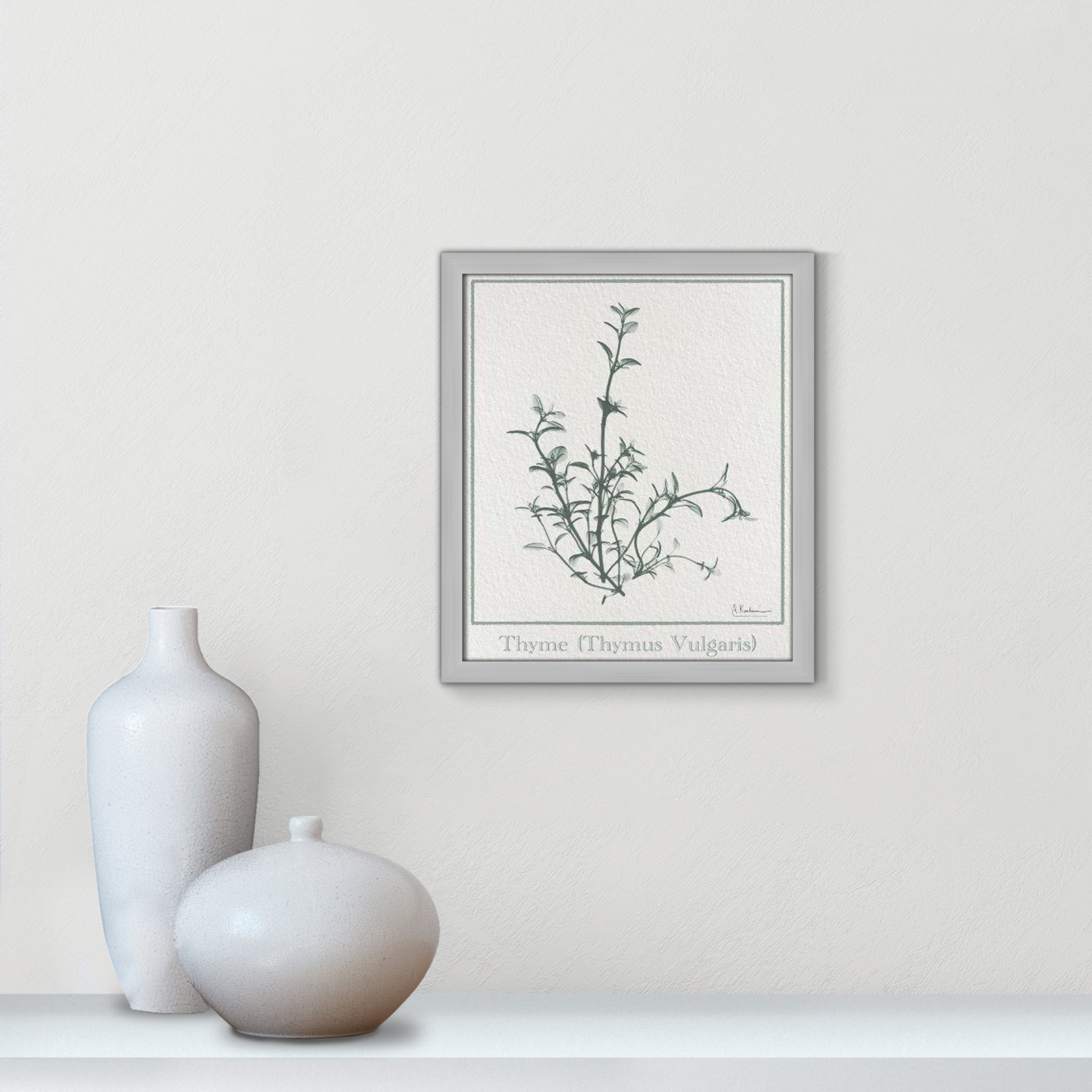 Jeanette "Thymus Vulgaris" Print, Matte Silver Framed Paper, 15" H x 13" W x 1.25" D