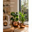Shawnda Metal Pot Planter