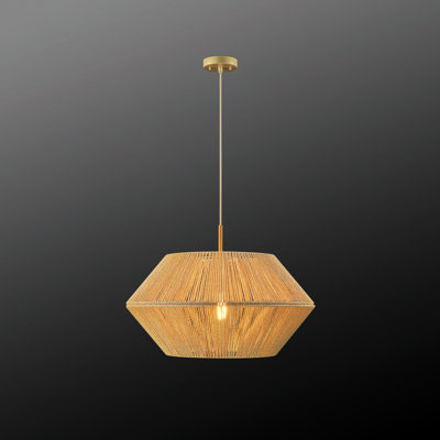 Luminaire suspendu unique à 1 lumière Adetayo