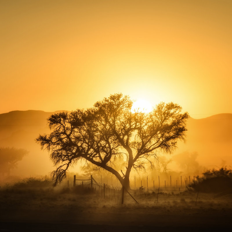 Wrapped Canvas Print, 121.92 cm H x 121.92 cm W