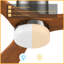 Ventilateur de plafond intelligent Labelle avec télécommande, ensemble d'éclairage inclus, fonctionne avec l'assistant Google et Amazon Alexa, raccourci Siri.-210210269-210210267