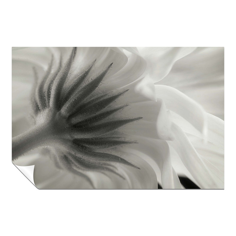 Calendula Flower Petals - No Frame Print, 20cm H x 31cm W