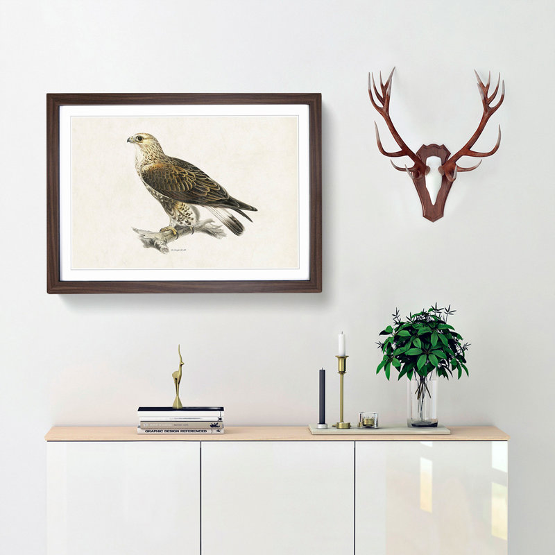 Rough-Legged Hawk by Von Wright - Picture Frame Graphic Art Print, Walnut, 40cm H x 60cm W x 2cm D