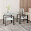 Ensemble de 2, table basse moderne en verre trempé, table de bout, table carrée pour le salon, transparent / noir-125538246-125538250-125538251