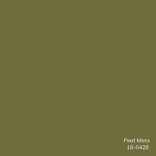 Crowe Hand Loomed Wool Sage Performance Area Rug