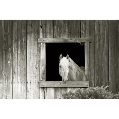 Welcome Welcome par Ed Goldstein - photographie sur toile tendue