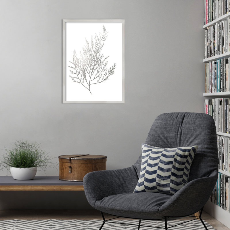 «Gray Algae II» par Jennifer Goldberger, reproduction d'art encadrée sur bois, H 25 po x l 19 po