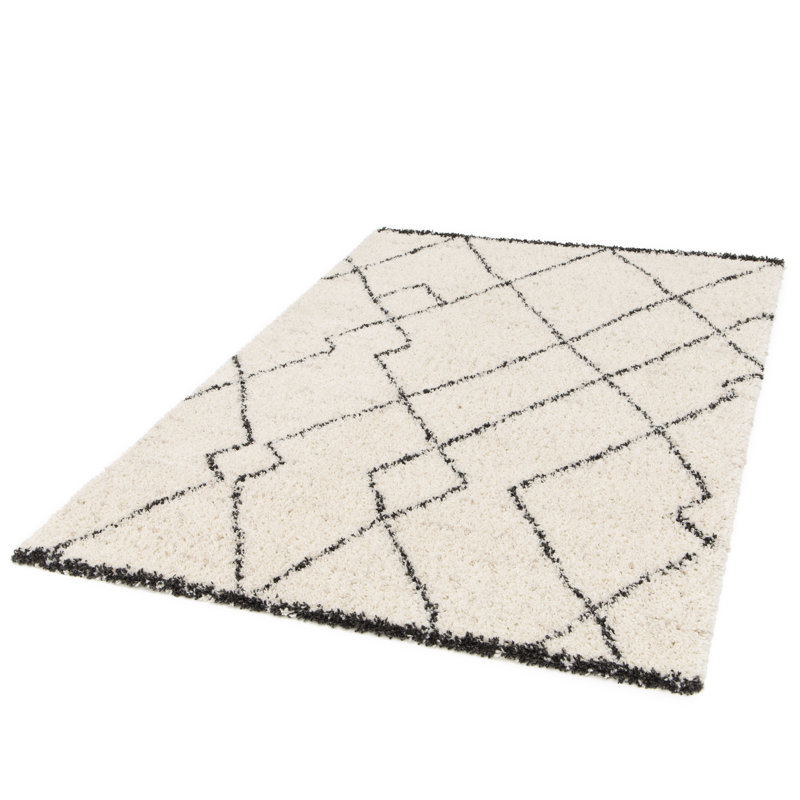 Barryknoll Shag Area Rug, Rectangle 80 x 150cm