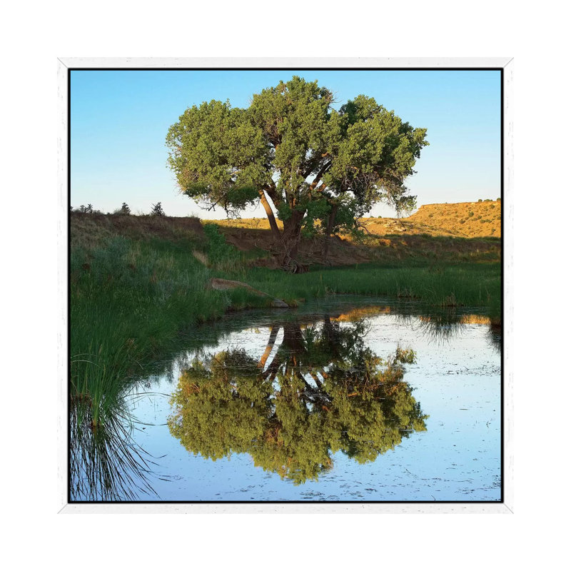Tree Reflecting In Creek Near Black Mesa State Park, Oklahoma 1 Piece Wall Art on Canvas, 93.98 cm H x 93.98 cm W