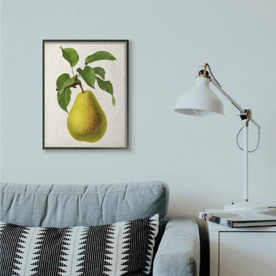 «Vintage Fruit Pear Paint», impression sur toile