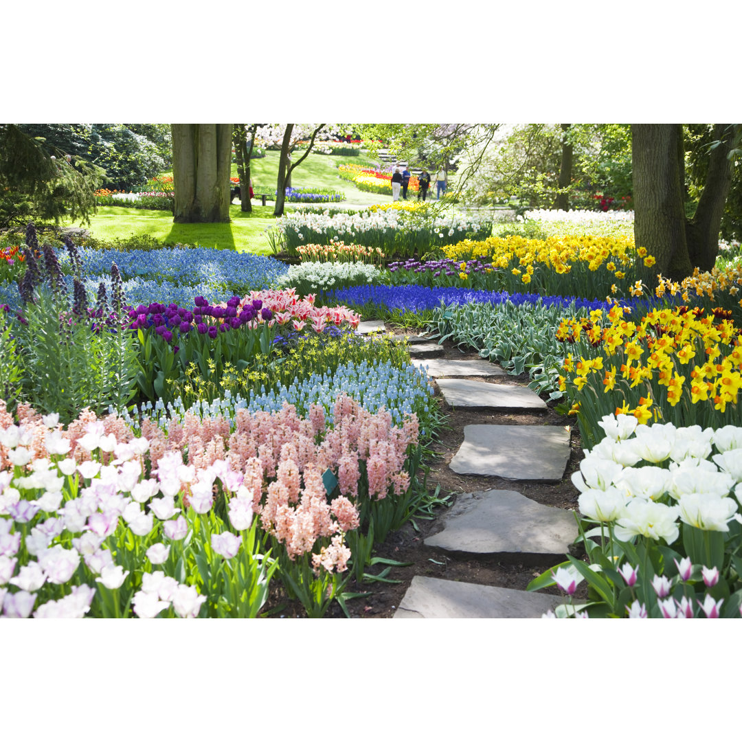 Gartenblumen von Lya_Cattel - Druck auf Leinwand ohne Rahmen