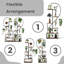 Plant Stand - Set of 10