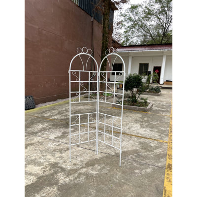 1Set (2Pcs) Treillis de jardin en métal pour plantes grimpantes