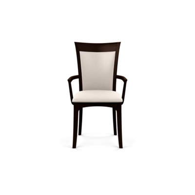 Morgan 19.25'' H Upholstered Armchair